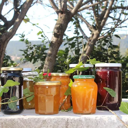 Guest house Maison D'hotes La Bastidaine